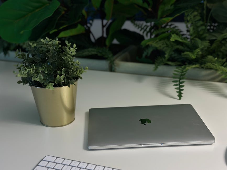 A clean and modern workspace featuring a laptop, keyboard, and potted plant on a white desk with green foliage